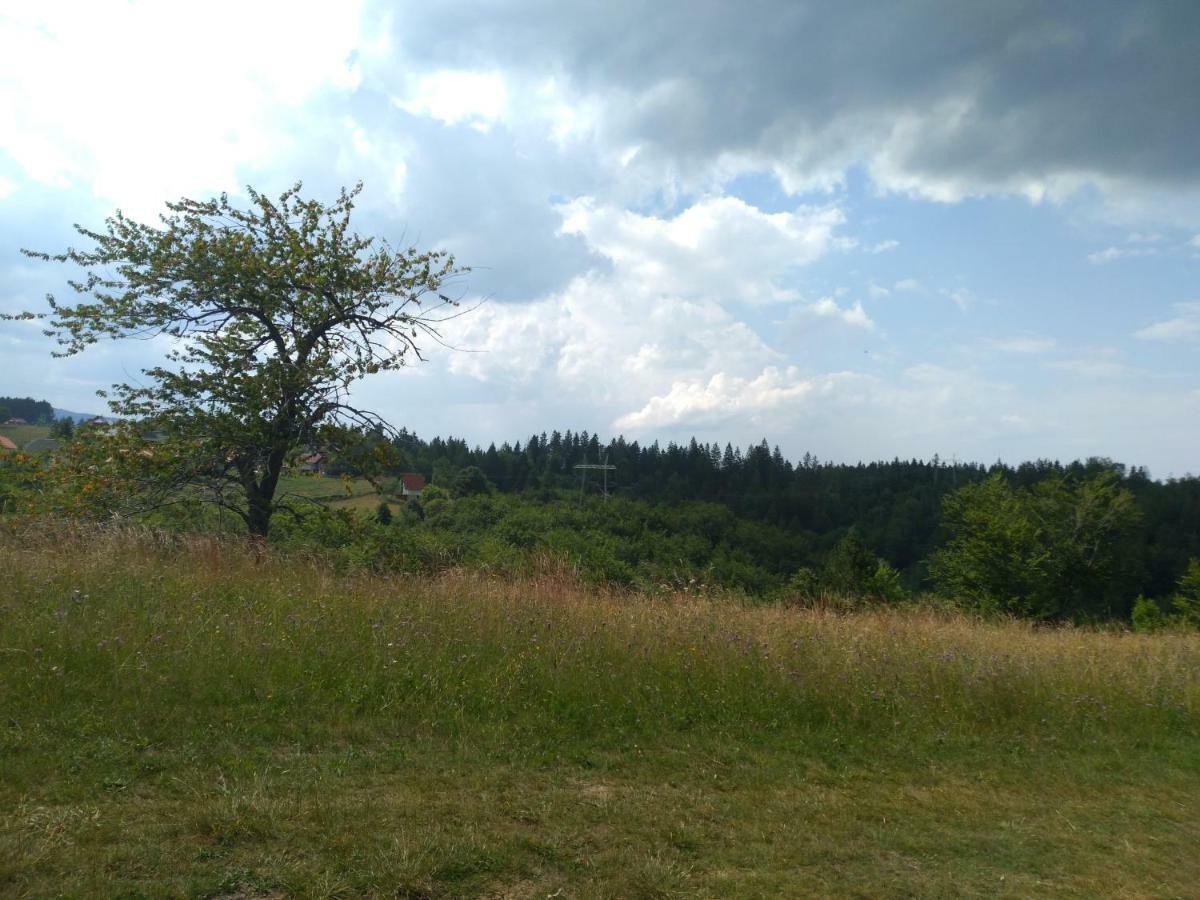 Konak Pahulja Tara Bajina Basta Extérieur photo